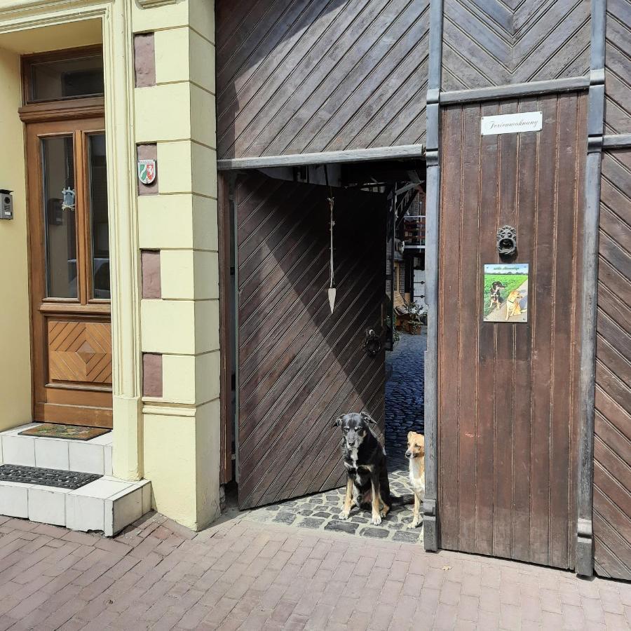 Ferienwohnung Hahnenblick Waldfeucht Exterior photo